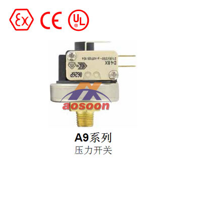 High quality Snap-Action Pressure Switch Dwyer A9 Series